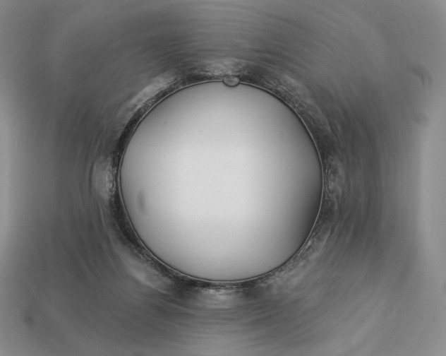 X0000113120164200909181656