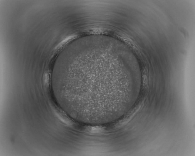 X0000113120165200909181656