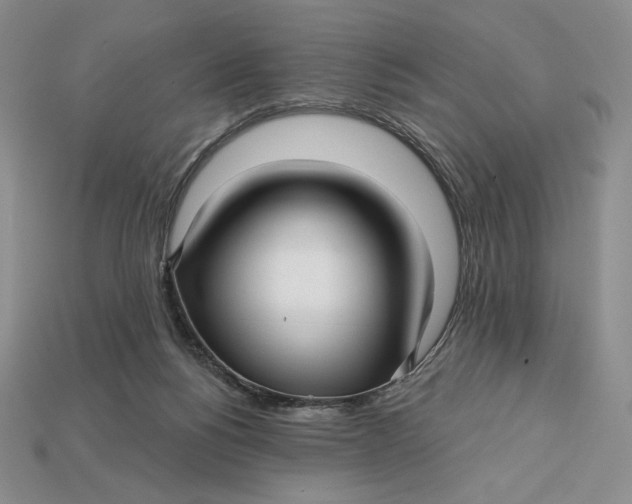 X0000113120168200909181656