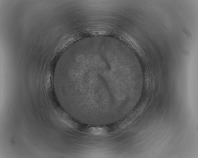 X0000113120169200909181656