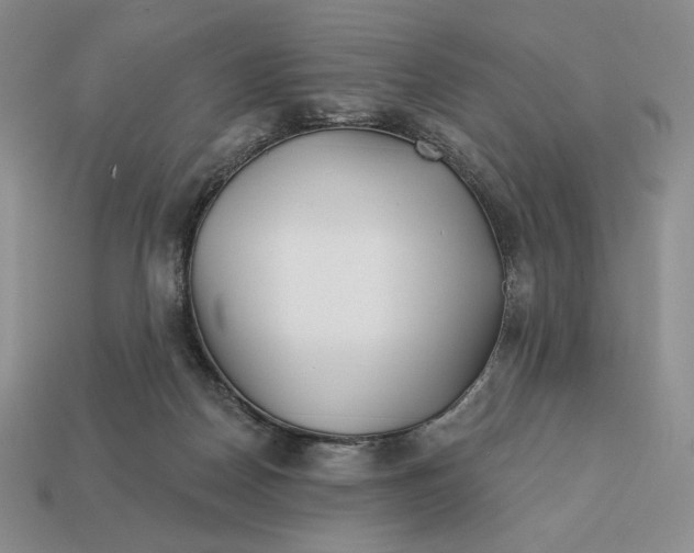 X0000113120170200909181656