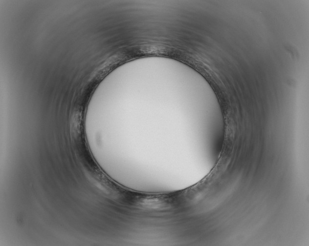 X0000113120171200909181656