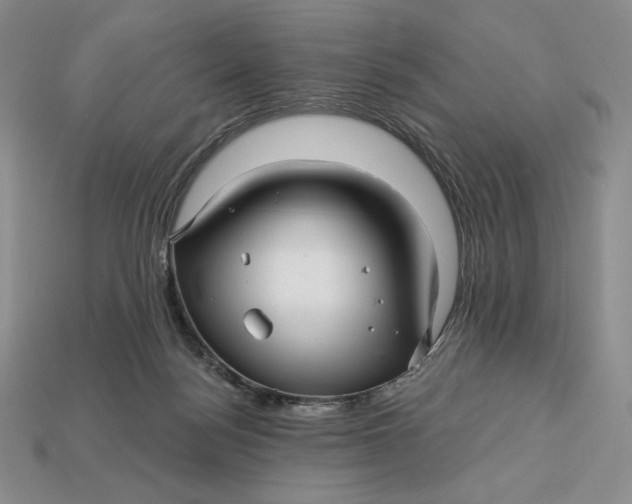 X0000113120172200909181656