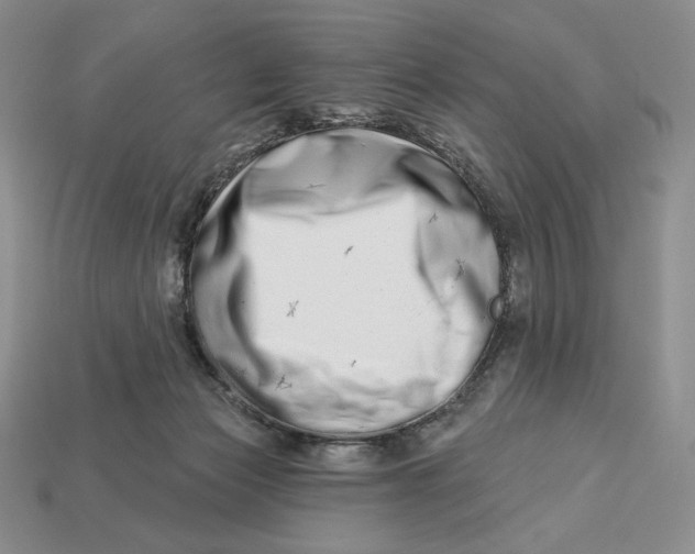 X0000113120173200909181656
