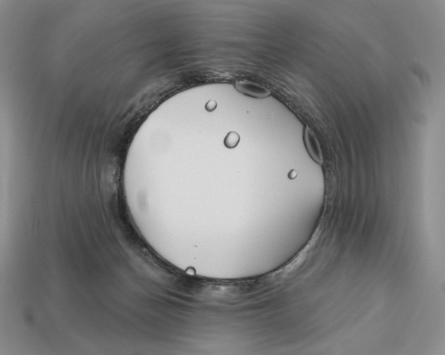 X0000113120174200909181656