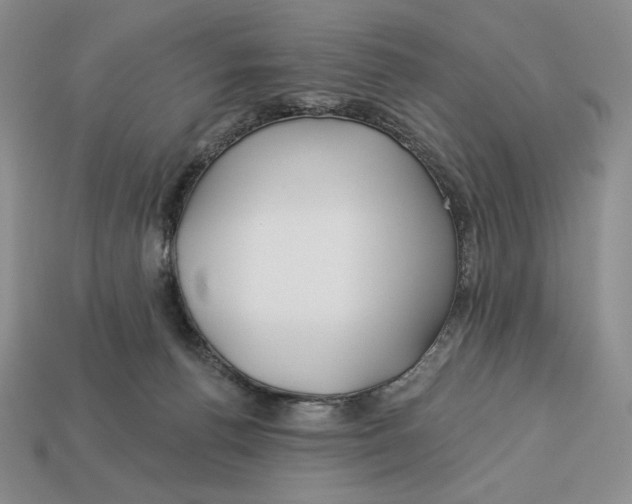 X0000113120176200909181656