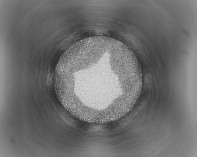 X0000113120177200909181656
