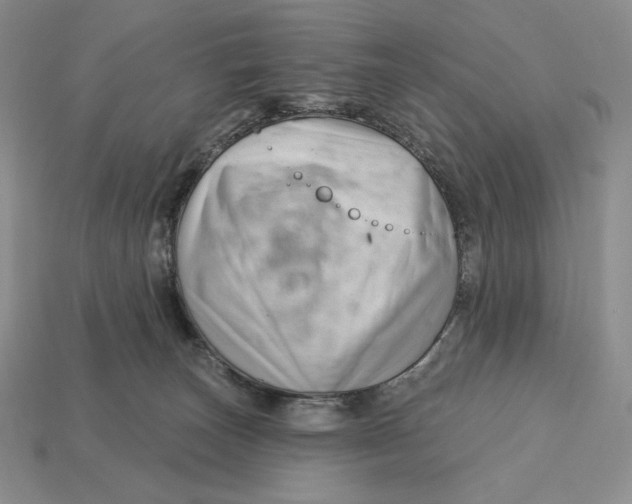 X0000113120179200909181656