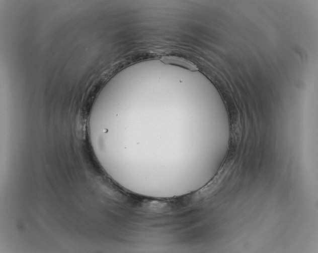X0000113120180200909181656