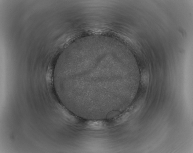 X0000113120181200909181656