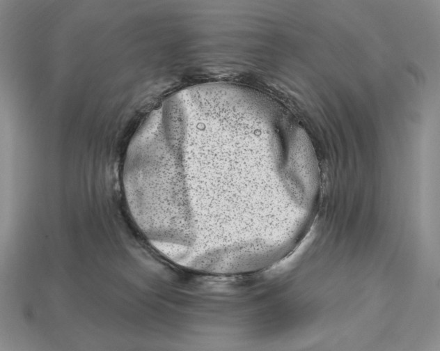 X0000113120182200909181656