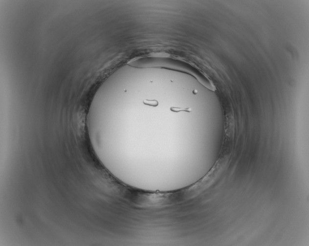 X0000113120184200909181656