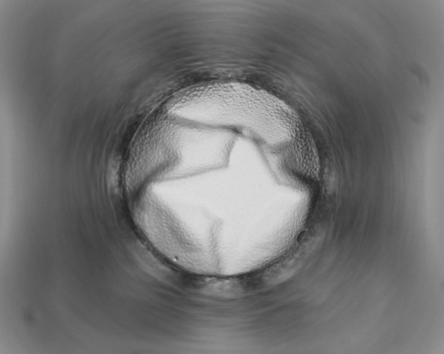 X0000113120185200909181656