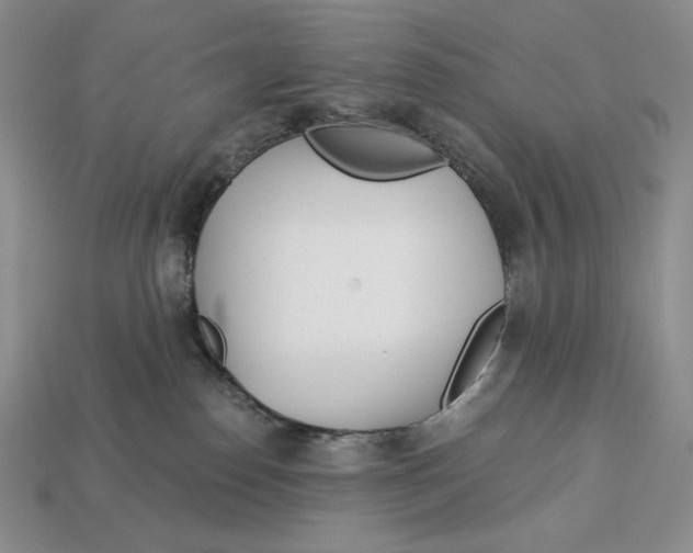 X0000113120186200909181656