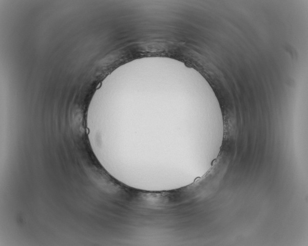 X0000113120187200909181656