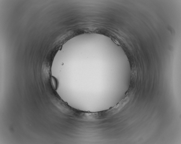 X0000113120188200909181656