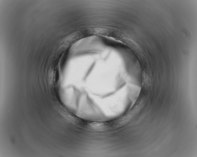 X0000113120189200909181656