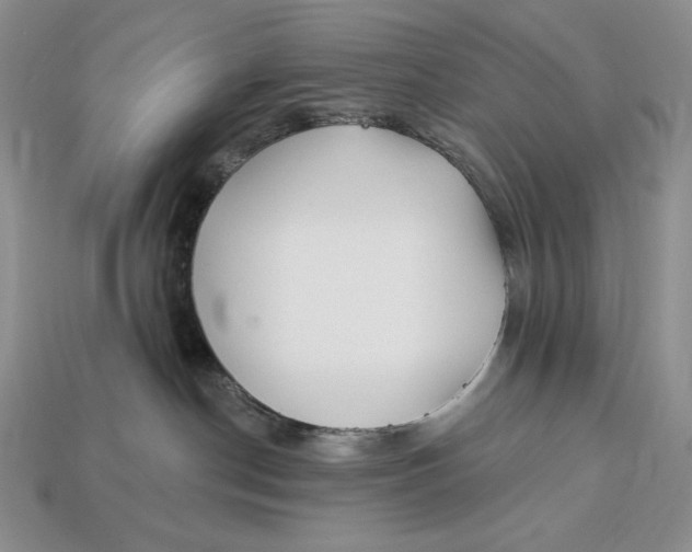 X0000113120190200909181656