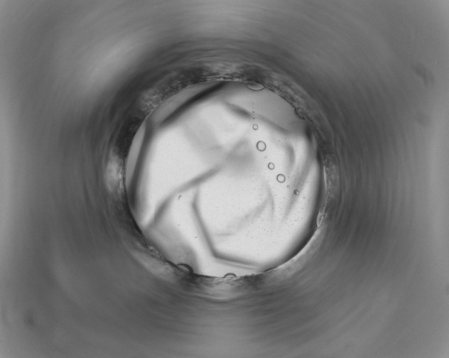 X0000113120191200909181656