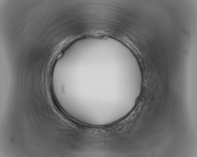 X0000113120193200909181655