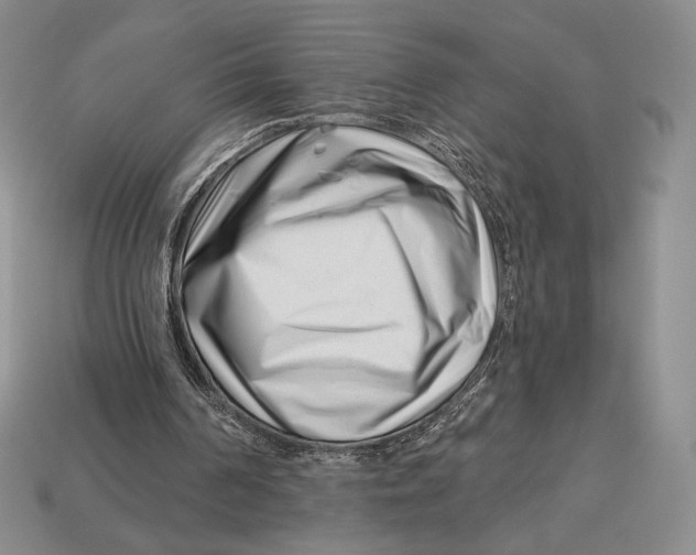 X0000113120194200909181655