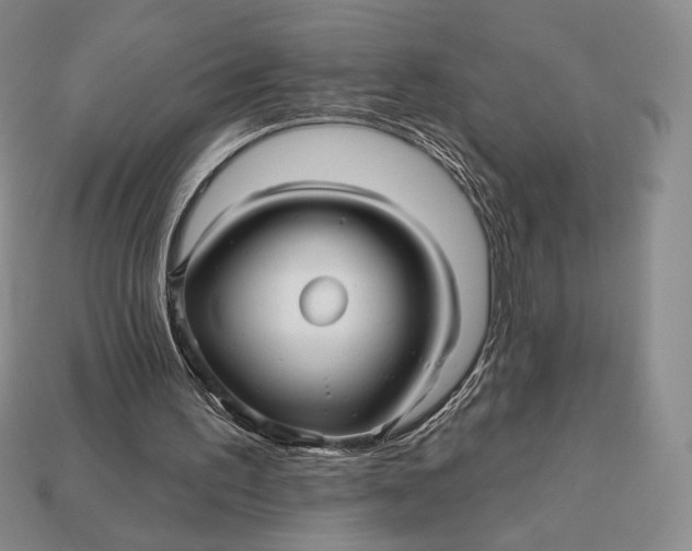 X0000113120195200909181655