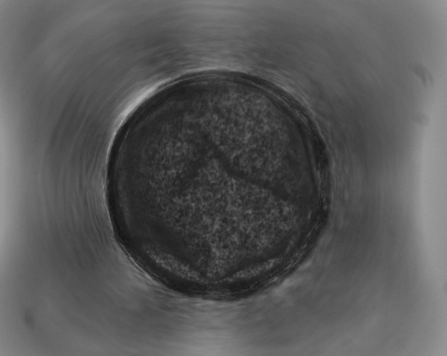 X0000113120196200909181655