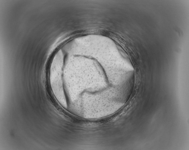 X0000113120198200909181655