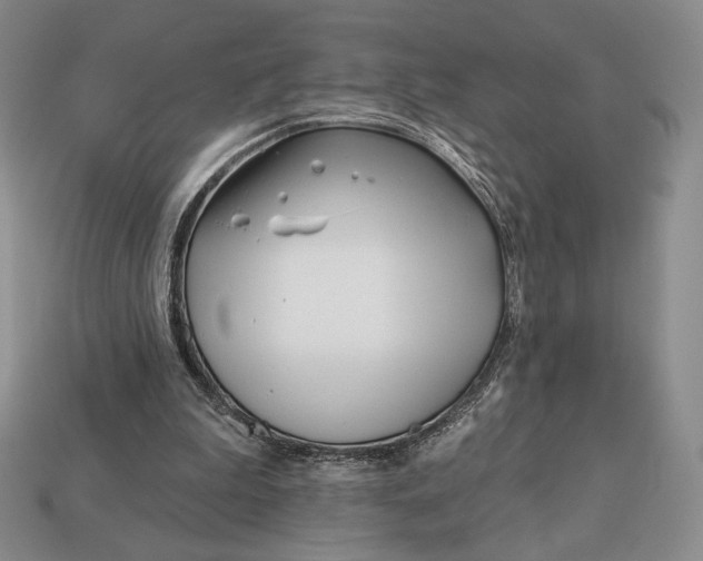 X0000113120199200909181655