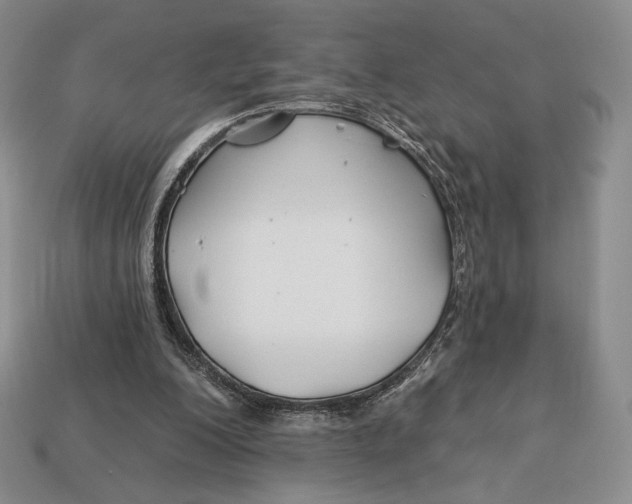 X0000113120200200909181655