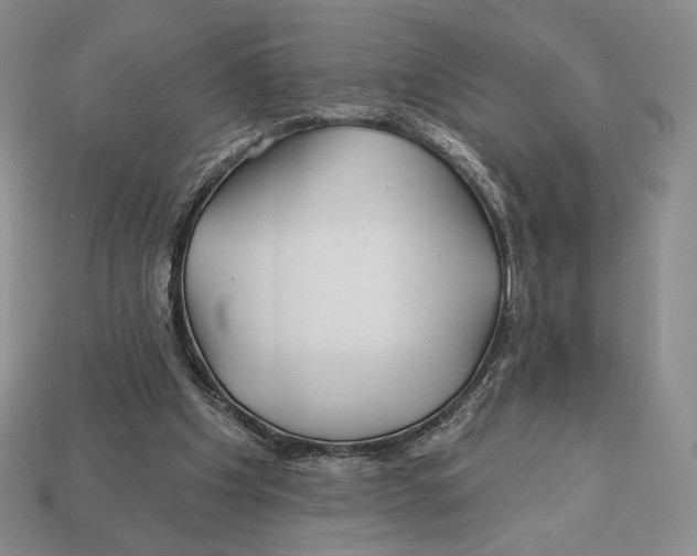X0000113120201200909181655
