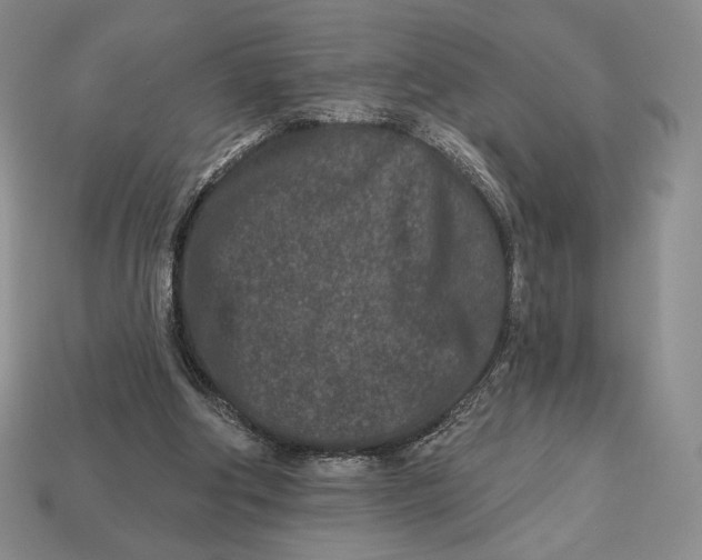 X0000113120202200909181655