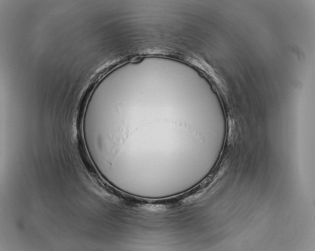 X0000113120203200909181655