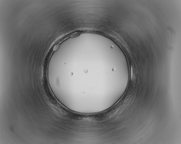 X0000113120204200909181655