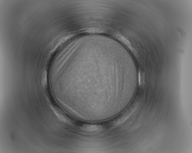 X0000113120205200909181655