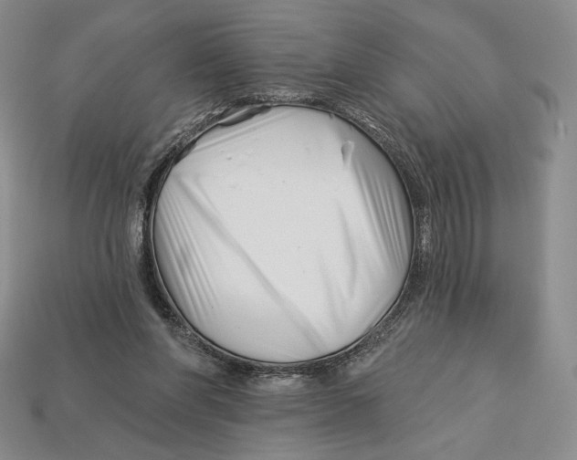 X0000113120206200909181655
