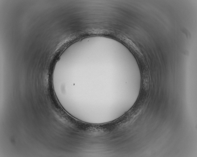 X0000113120207200909181655