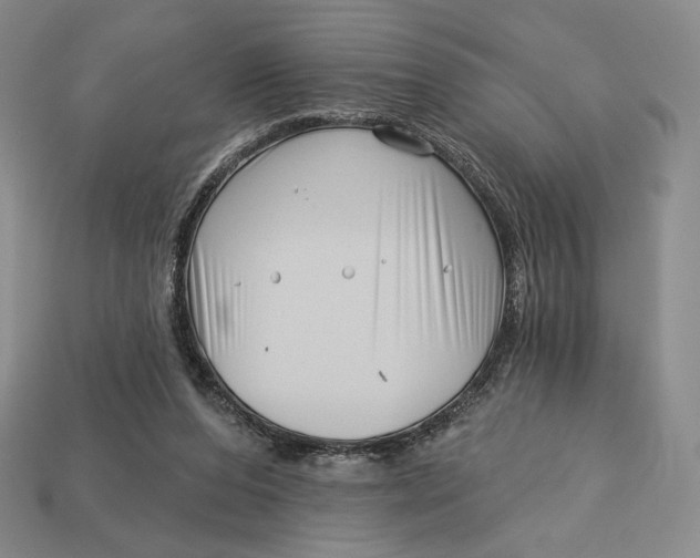 X0000113120208200909181655