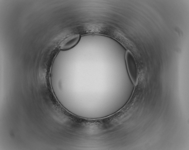 X0000113120209200909181655
