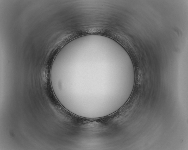 X0000113120210200909181655