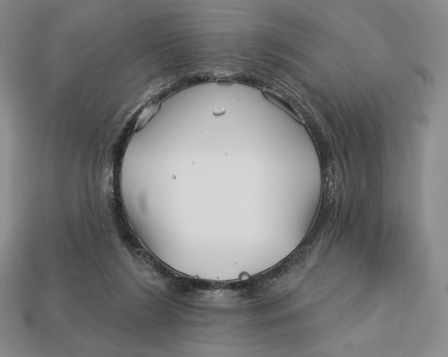 X0000113120212200909181655