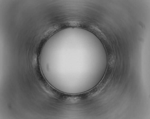 X0000113120213200909181655