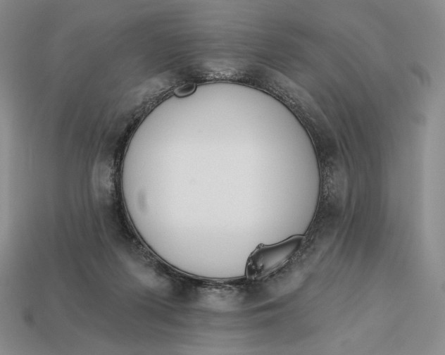 X0000113120215200909181655