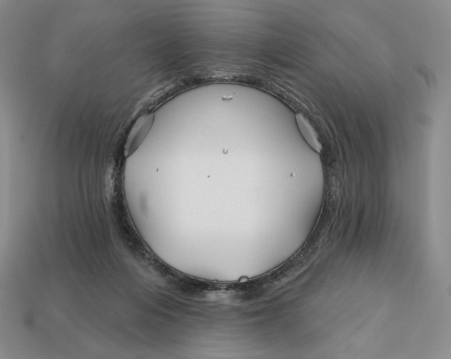 X0000113120216200909181655