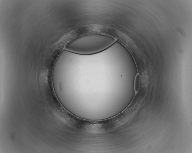 X0000113120217200909181655