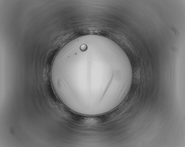 X0000113120218200909181655