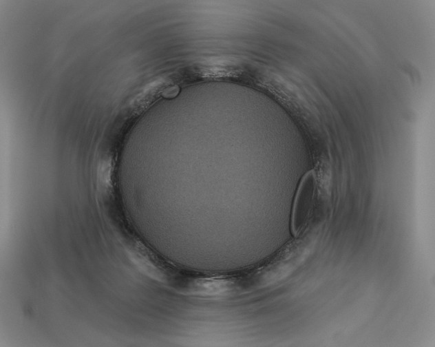 X0000113120219200909181655