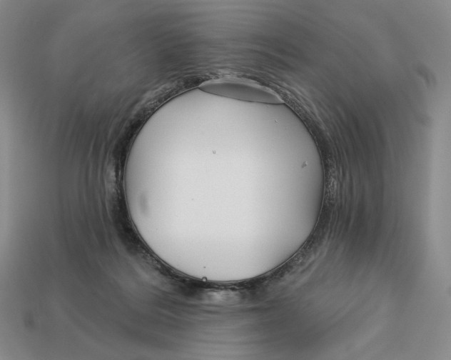 X0000113120220200909181655