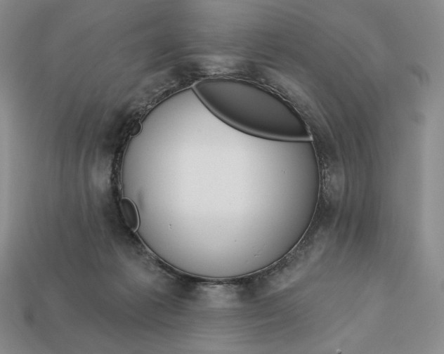 X0000113120221200909181655