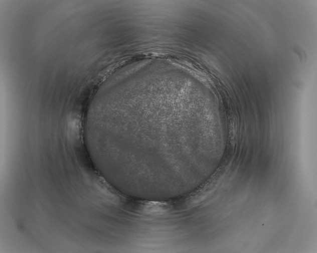 X0000113120222200909181655